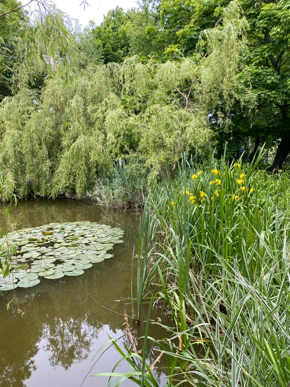 Коттедж с отдельным входом и видом на сад