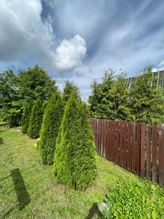 Русский дом с баней на берегу озера