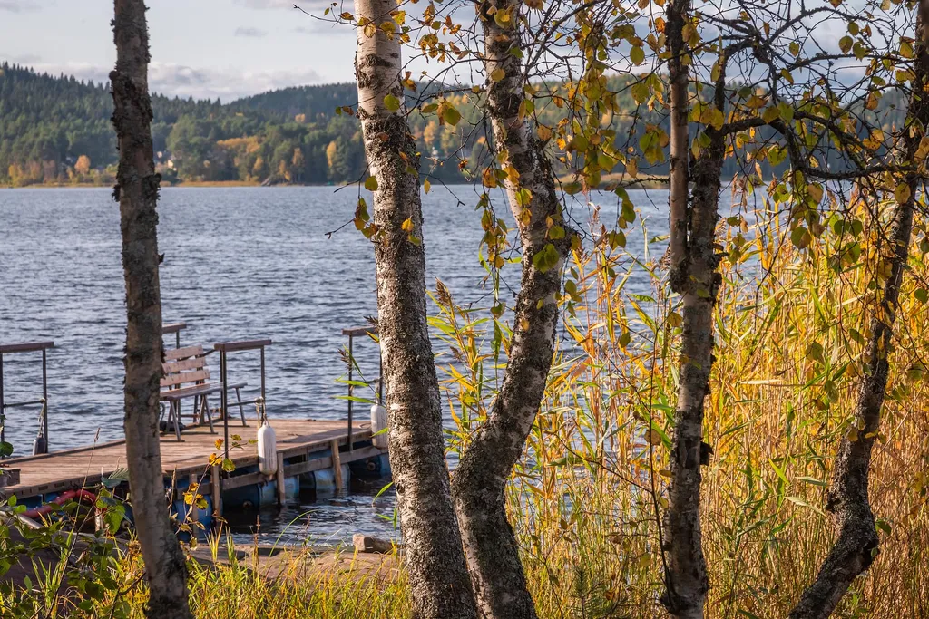 Коттедж Берег у леса