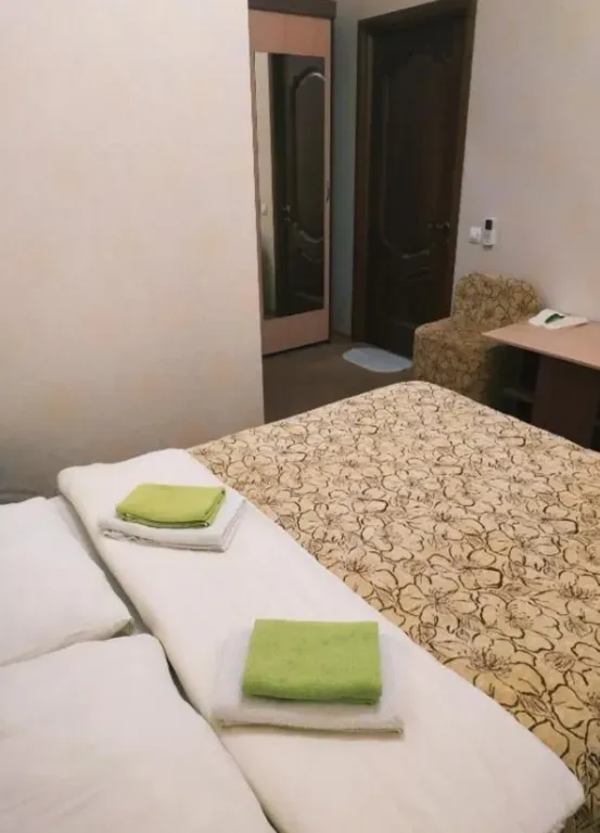 Двухместный номер, эконом, с 1 двуспальной кроватью, без окна