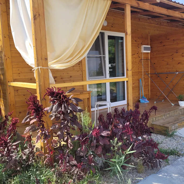 1-комнатный Дом