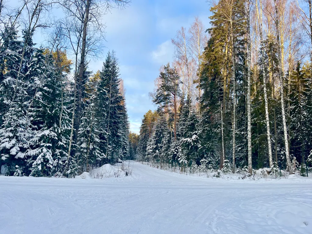 Коттедж Дизайнерский коттедж на берегу озера Волго на Селигере — Турбаза Чайка