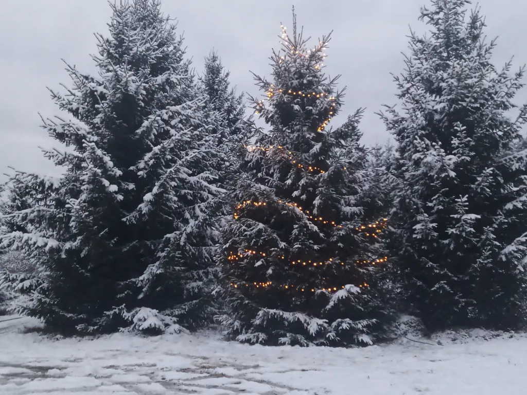 Дом c финской дровяной сауной и отдельной баней в Карелии