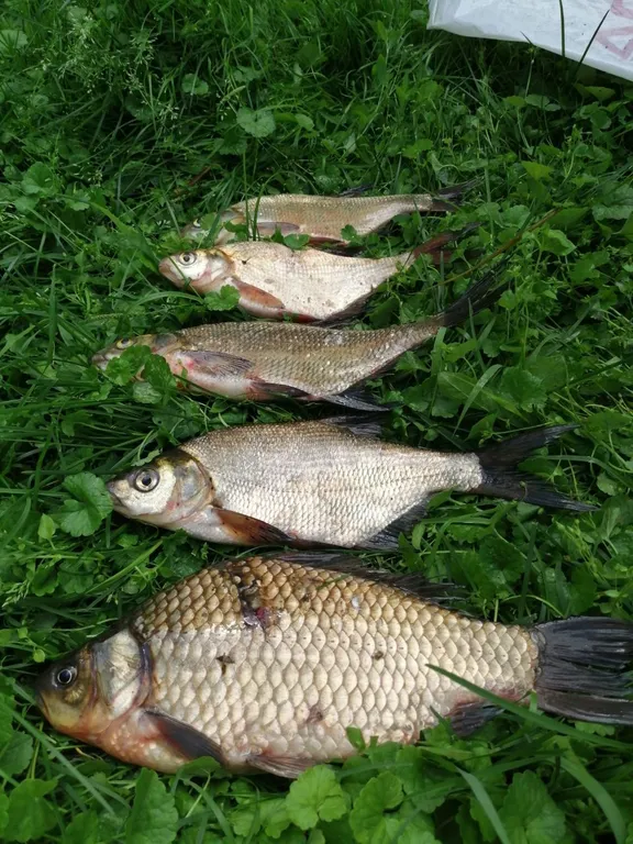 Уютный дом на берегу озера с баней на дровах