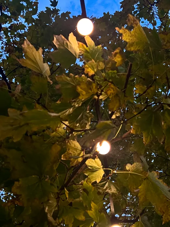 Ламповая квартира в центре