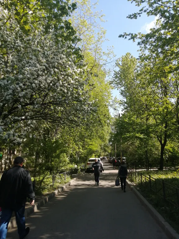 Квартира Однокомнатная квартира рядом с метро с новым ремонтом — Санкт-Петербург