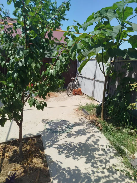 Дом с бассейном