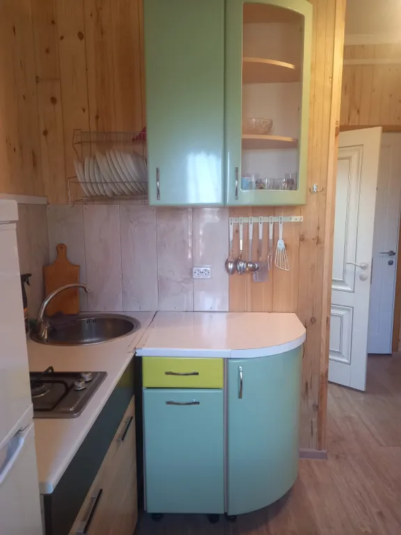 Квартира с беседкой  в центре