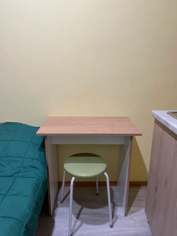 В гостях у гуся