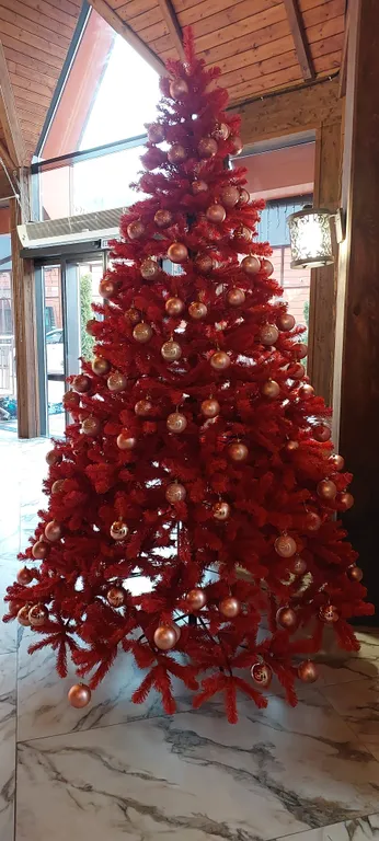 Апартаменты Комфорт в самом центре рядом с канатной дорогой