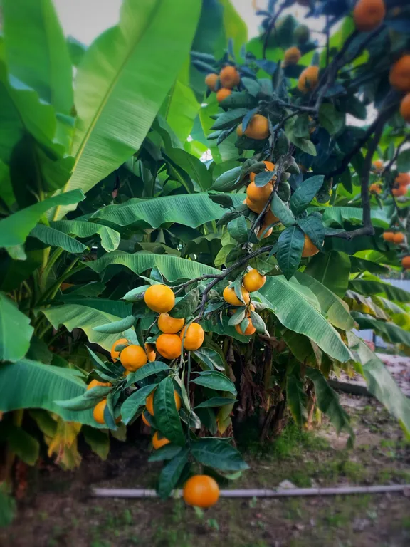 Домик 2-комнатный 5-местный