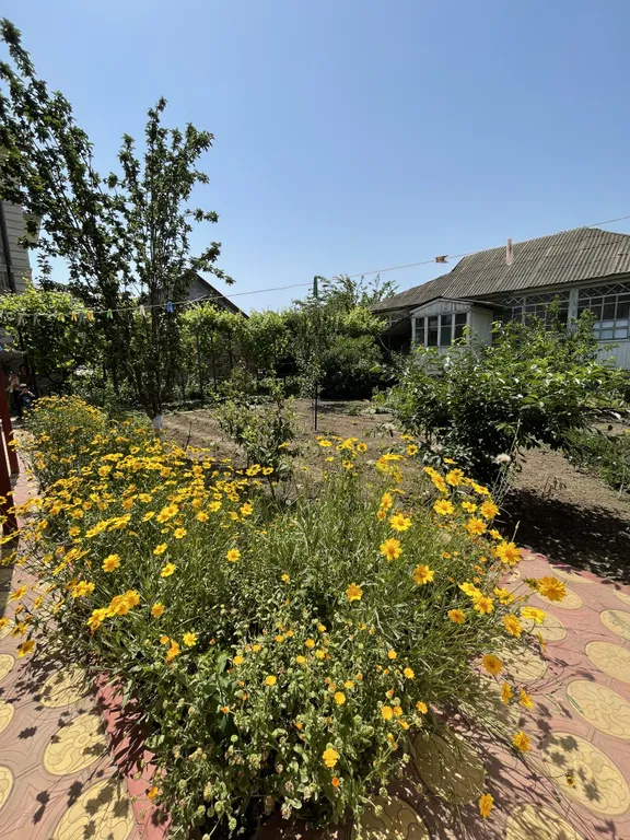 Небольшой дом в цветущем саду