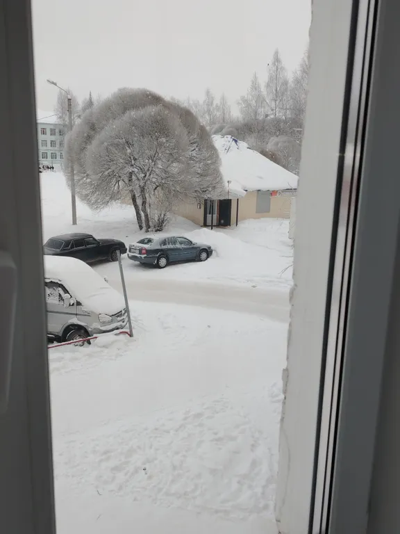 Уютная квартира