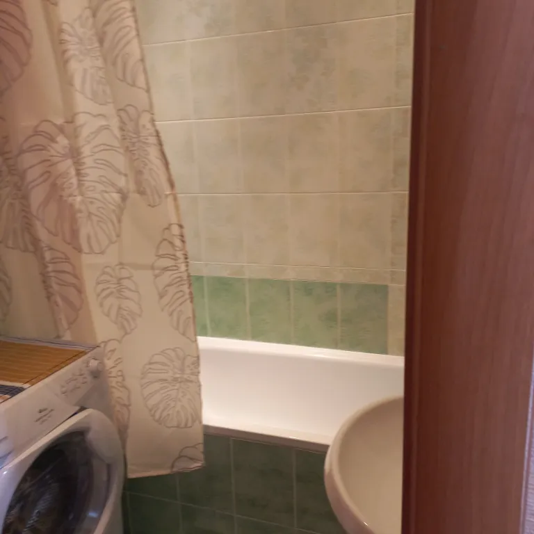 Однакомнатная квартира у трц Остров