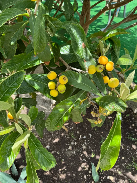 Квартира Комната — Судак