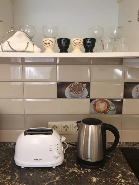 Квартира Квартира Санни Светлогорск 9 с одной спальней, отдельный вход, в центре — Светлогорск