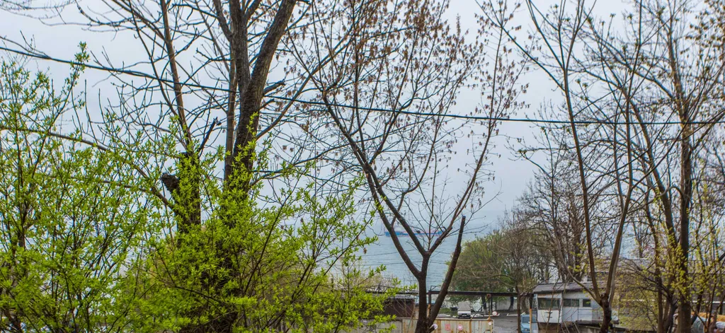 Квартира Квартира Новая студия с видом на море/1/ — Владивосток