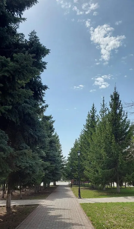 Апартамент с видом на Камское море