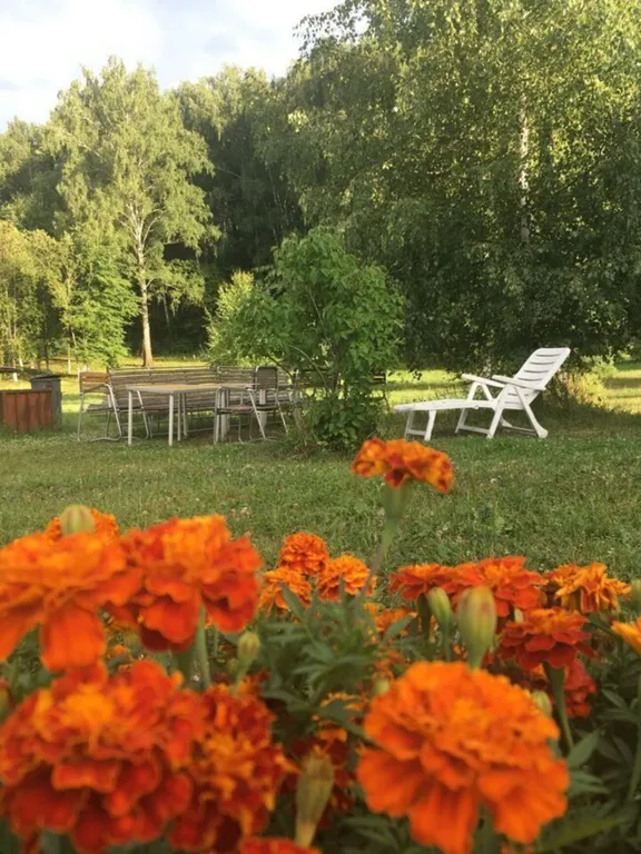 Домик на берегу Оки в сельской усадьбе Варежка