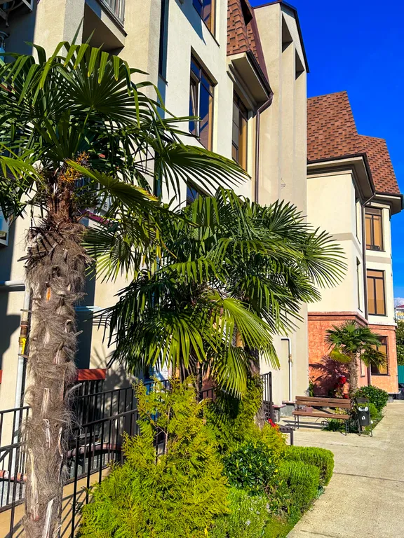 Квартира Квартира Светлая дружелюбная студия с видом на горы — Сириус