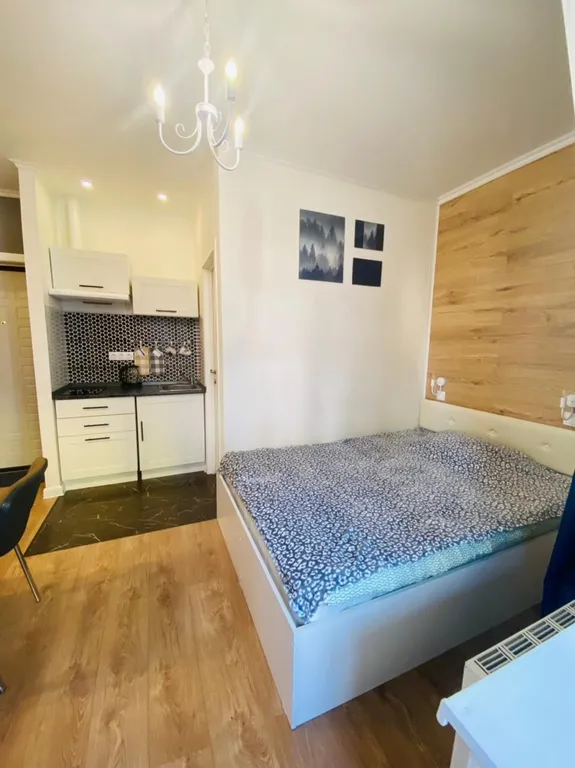 Квартира-студия — аренда посуточно в Люберцы