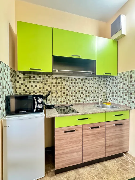 Квартира 1-комнатная Квартира — Сириус