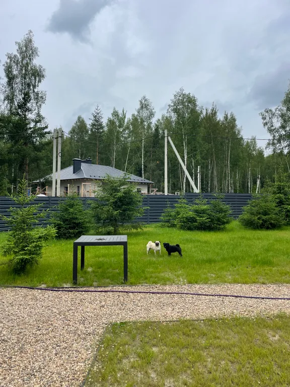 Дом гжельский лес, рядом с рыбалкой