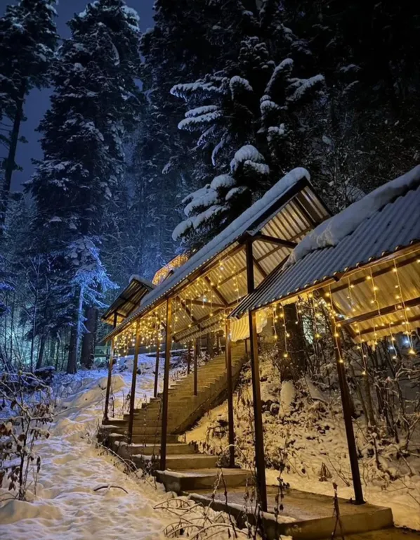 Уютный домик в лесу