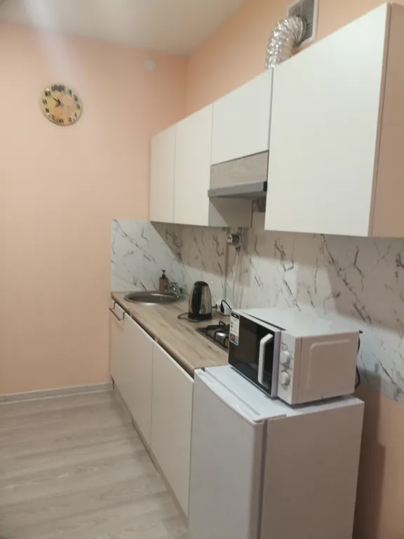 Уютная однокомнатная квартира