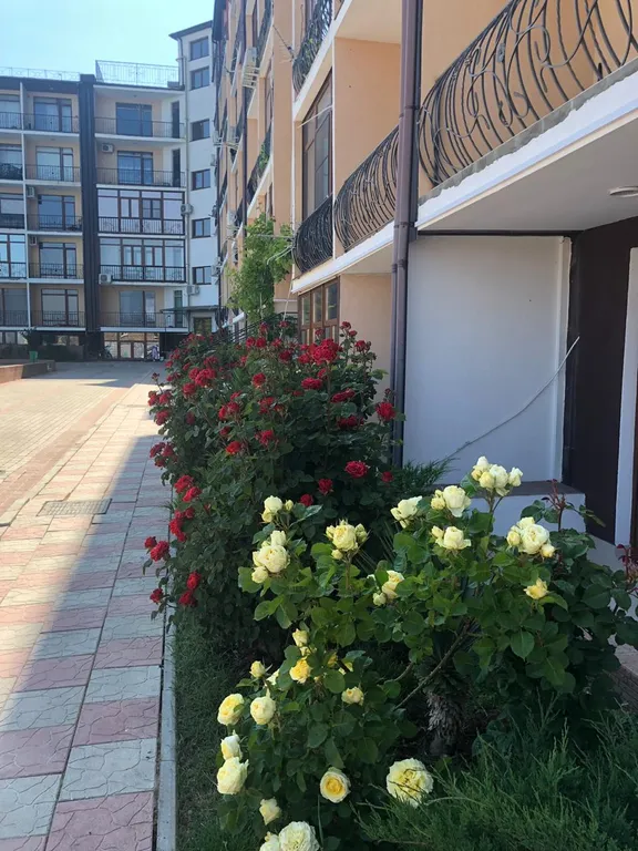 Квартира Апартаменты на берегу моря — Севастополь