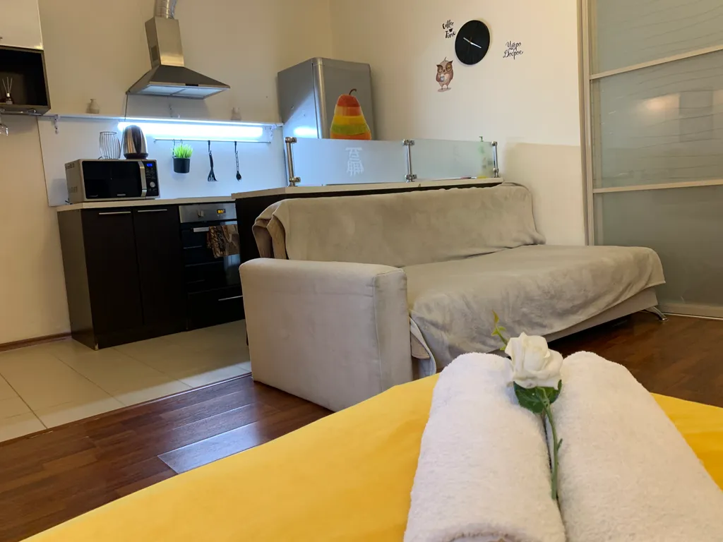 Квартира Уютная студия в центре города — аренда посуточно в Пенза