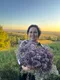 Dina
