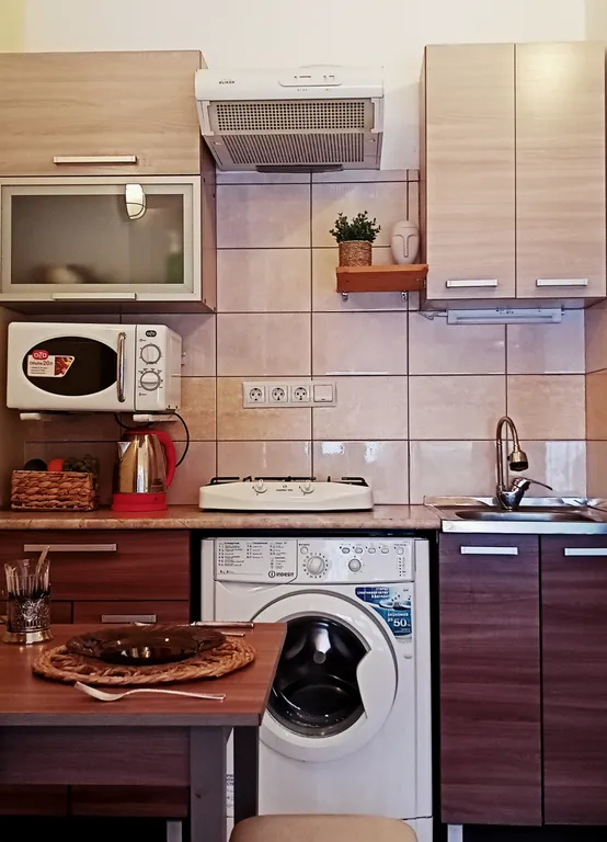 С видом на берег озера с лебедями, в историческом центре, с 1 кроватью