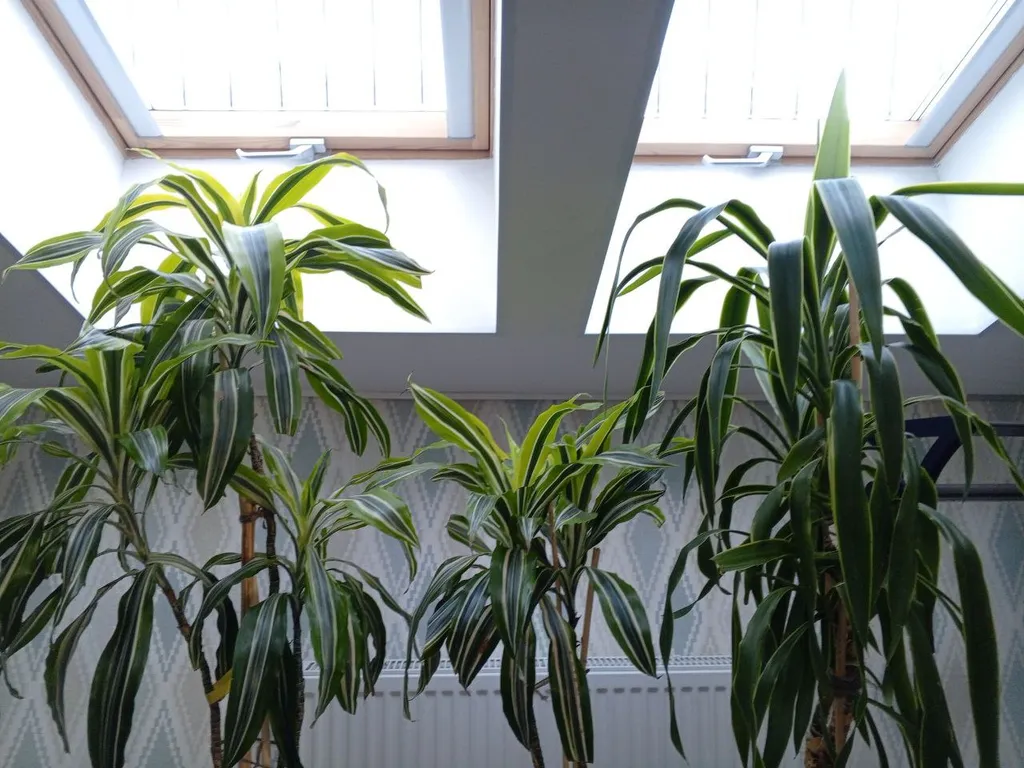 Квартира Квартира студия с видом на звезды на первой линии моря — Пионерский