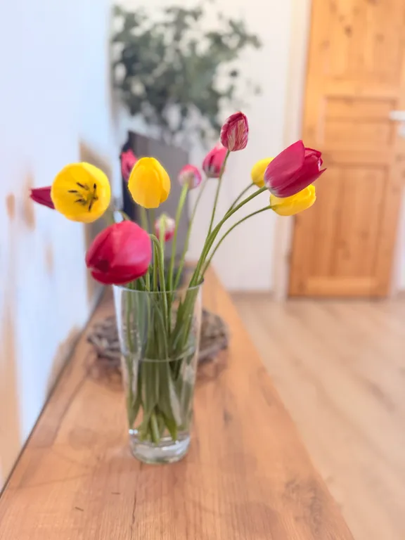 Уютная мансарда в самом центре