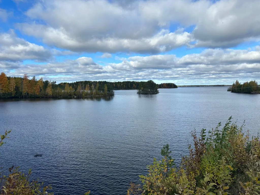 Дом прямо на берегу Беломоро-Балтийского канала "Дикая клюква"