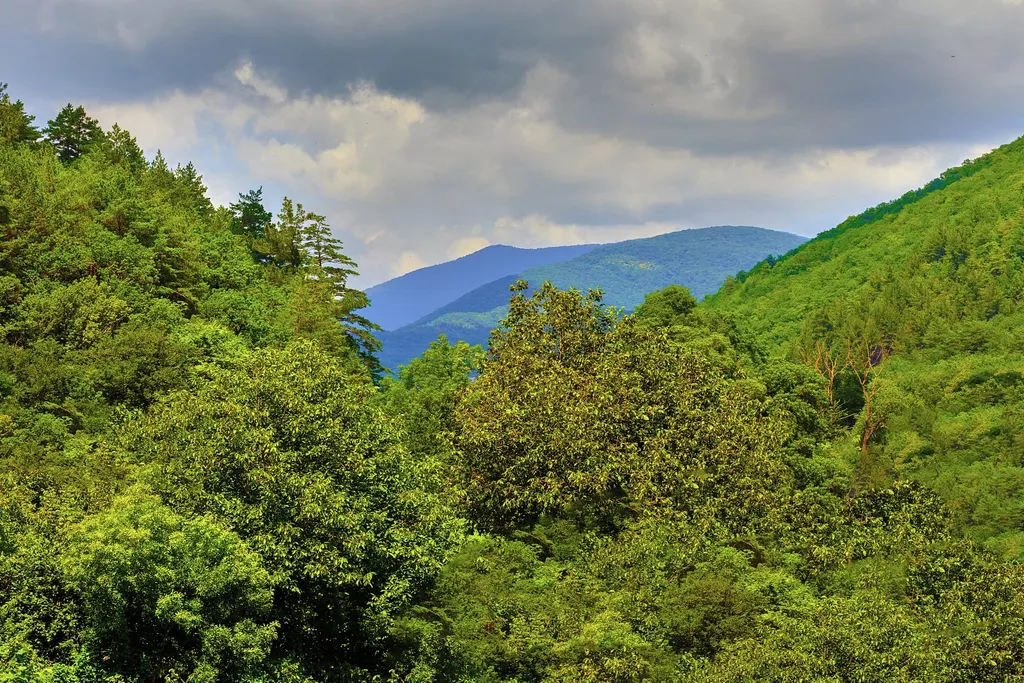 Коттедж Коттедж Отдых у моря — Прасковеевка