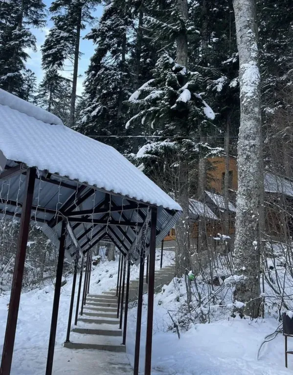 Уютный домик в лесу