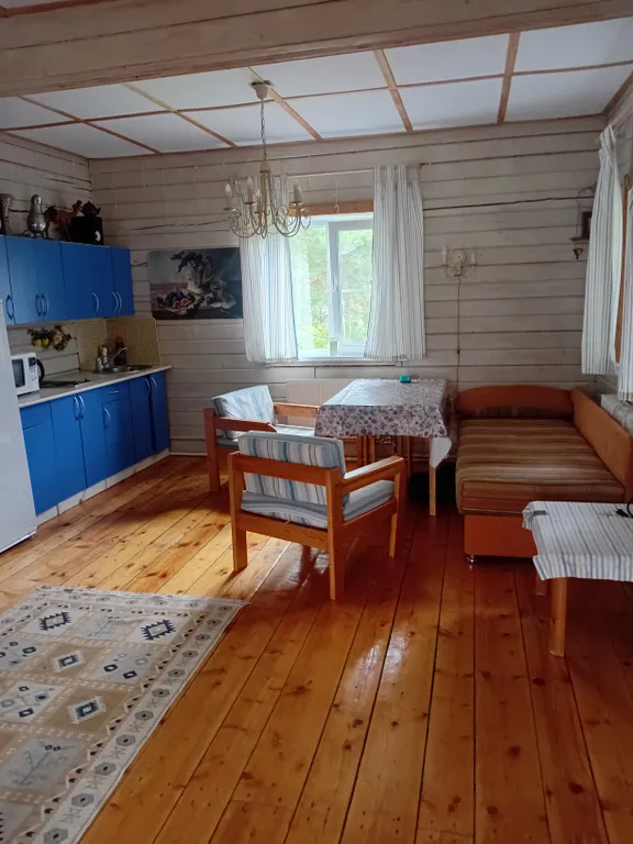 Утро в сосновом бору у озера