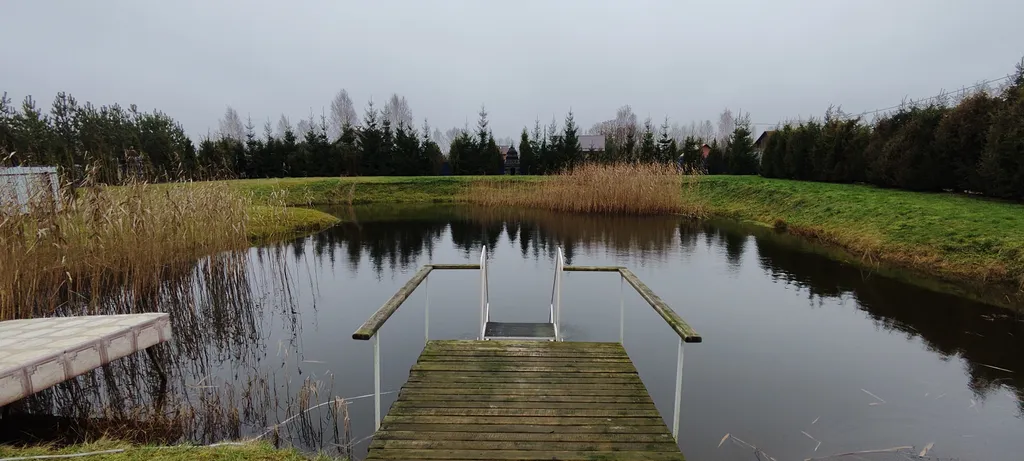 Уединенная дача с прудом и баней у Псковского озера