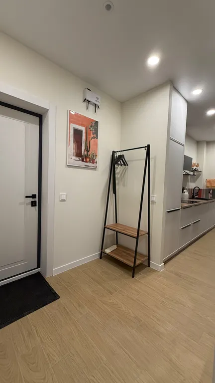 Дизайнерская евро - двушка