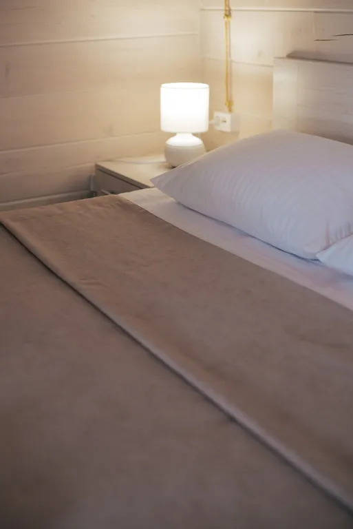 Гостевой домик на берегу Катуни