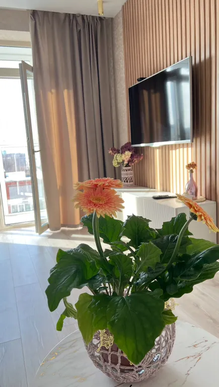 Уютные апартаменты