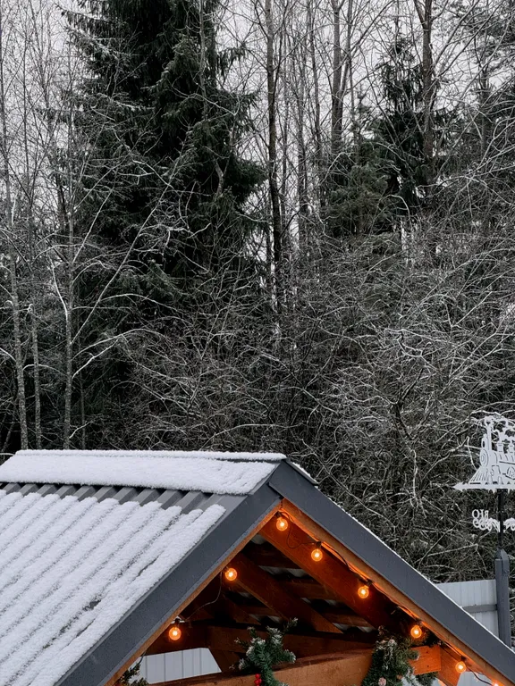 Уютный треугольный Ромашковый дом.