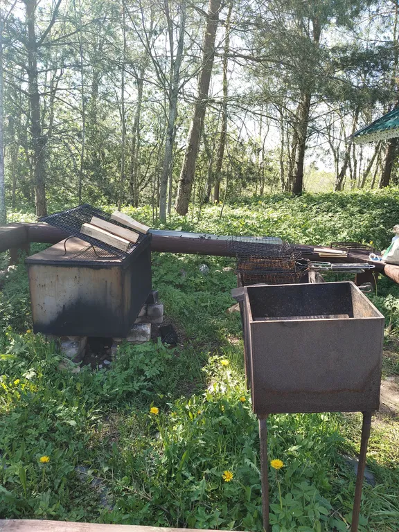 Домик в глуши