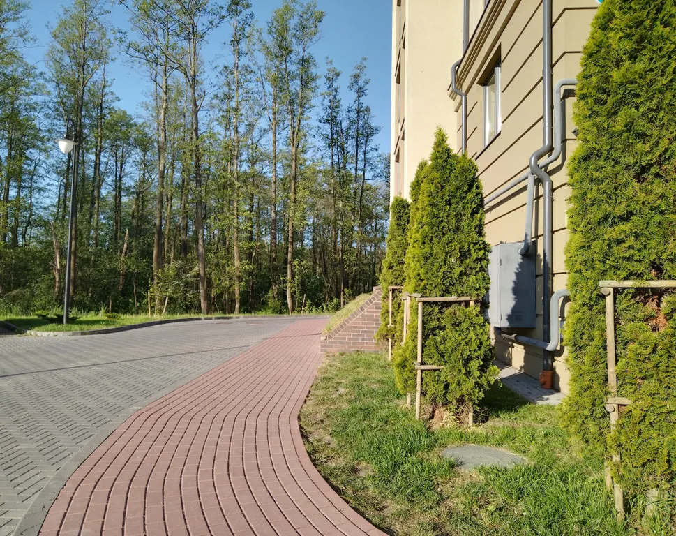 Квартира Уютная квартира с видом на лес — Зеленоградск