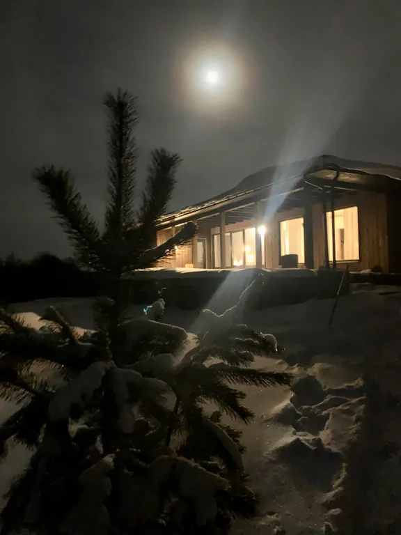 Дом у реки с видом на лес