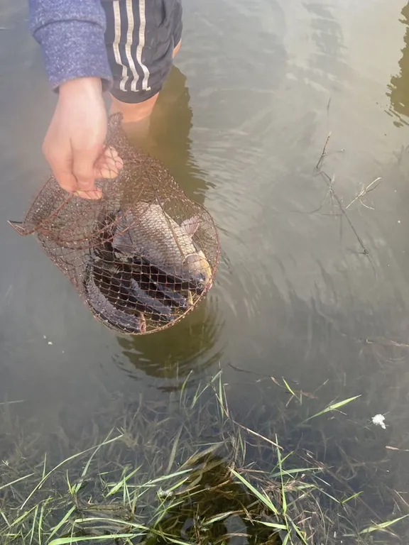 Коттедж Дом "Полимер" — Казань