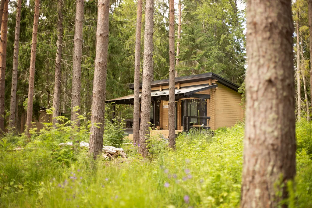 Дом в лесу - с фурако