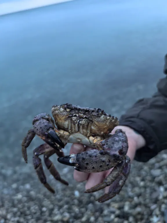 Дом с видом на горы